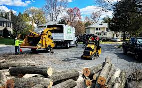 Best Tree Risk Assessment  in Penn Estates, PA